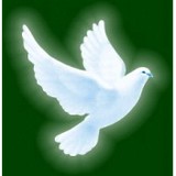 Golub Funeral Home - Funeral Services & Cemeteries in Cleveland