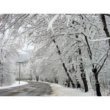 Snowplow Technologies LLC - Other in Beachwood