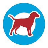 Bingo Dog Training LLC - Pet/Animal Training in Toledo