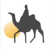 Camels Consulting Group LLC - Business Consulting in Westerville