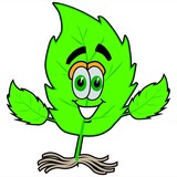 Hydro Gardens & Lights LLC , - Other in Canal Winchester