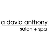A David Anthony Salon & Spa - Other in Lorain