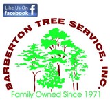 Barberton Tree Service Inc - Other in Barberton
