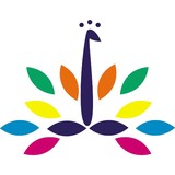 Patra Designs - Other in Beachwood