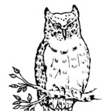 Wise Medical Staffing Inc - Personal Care Services in Chillicothe