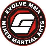 Evolve Inc - Other in Medina