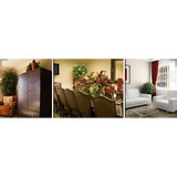 Stanford Interior Gardens Inc - Other in Hilliard