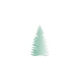 Evergreen Plastics - Other in Clyde