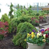 Schoenbrunn Landscaping - Landscaping in Dover