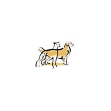 Beechmont Pet Hospital - Veterinarians/Vets in Cincinnati