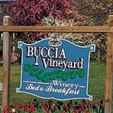 Buccia Vineyard - Other in Conneaut