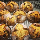 Great Lakes Baking CO - Bakeries in Hudson