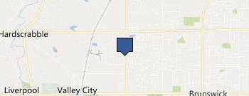 Schaeffler Group USA Inc location map