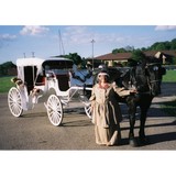 Willow Wind Carriage and Limousine Service - Limos in Springfield
