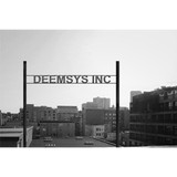 Deemsys Inc - Business Consulting in Columbus