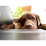Reliable Heating & Cooling - Other in Massillon