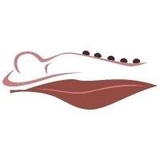 Massage Odyssey - Massage Therapy in Cincinnati