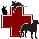 4 Pets Clinic - Other in Avon