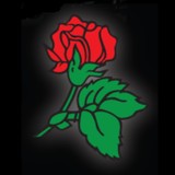 A TOUCH OF CLASS LIMOUSINE SERVICE - Other in Valley City