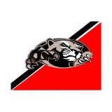 Manchester School Supt - Other in Akron