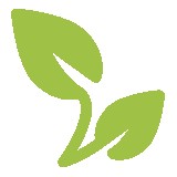 Midtown Trees - Tree Services in Tulsa