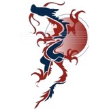 Dancing Dragon Music Corp - Guitar Stores in Oklahoma City