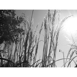 Cls & Associates - Landscape Architects in Oklahoma City