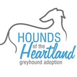 Hounds Of The Heartland - Pet Stores in Oklahoma City