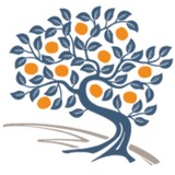 Persimmon Group - Business Consulting in Tulsa