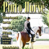 Pinto Horse Assn - Other in Bethany