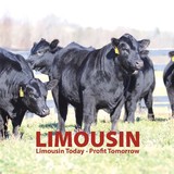 Limousin World Magazine - Other in Guthrie