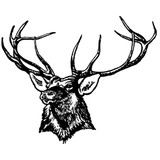 Future Farmers Of America Association - Other in Elk City