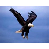 Eagleridge Institute - Other in Wagoner