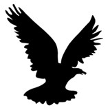 St John Financial Group Inc - Insurance in Owasso