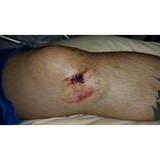 Americlaim Group - Insurance in Edmond