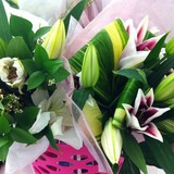 Fit For Her - Women’s Clothing in Edmond