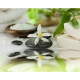 Path To Wellness - Acupuncture in Tulsa