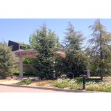 St Paul's Lutheran Church - Churches in Oklahoma City