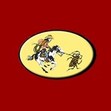 Lawton Termite & Pest Control - Pest Control in Lawton