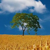 Ferguson Group Tulsa - Business Consulting in Broken Arrow