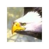 Eagle's Crest Fellowship - Churches in Oklahoma City