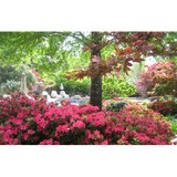 Preaus Landscape - Landscaping in Tulsa