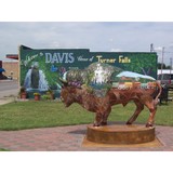 Arbuckle Family Lodges LLC - Other in Ada