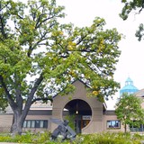 Marsh - Insurance in Tulsa