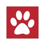 Vera's Posh Paws - Pet Services in Oklahoma City