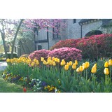 Green Country Landscapes - Lawn Services in Bixby