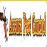 Accura Pest Control - Pest Control in Oklahoma City