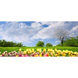 Newcastle Christian Church - Churches in Newcastle