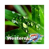 Landscape Partners - Landscaping in Yukon