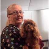 South Paws Grooming - Pet Groomers in Edmond